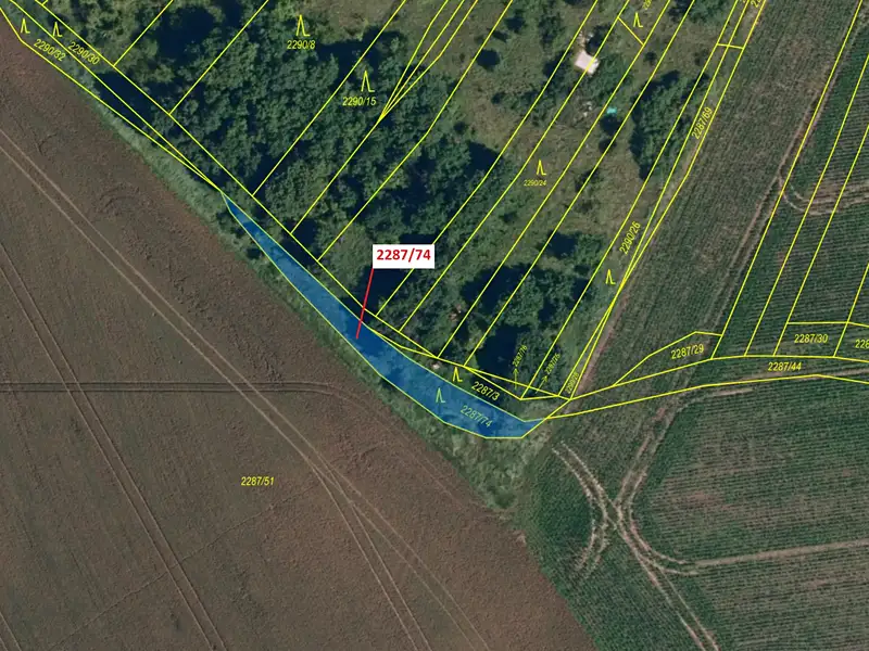 Dražba lesa 378 m², Oslavany – náhled fotky 2
