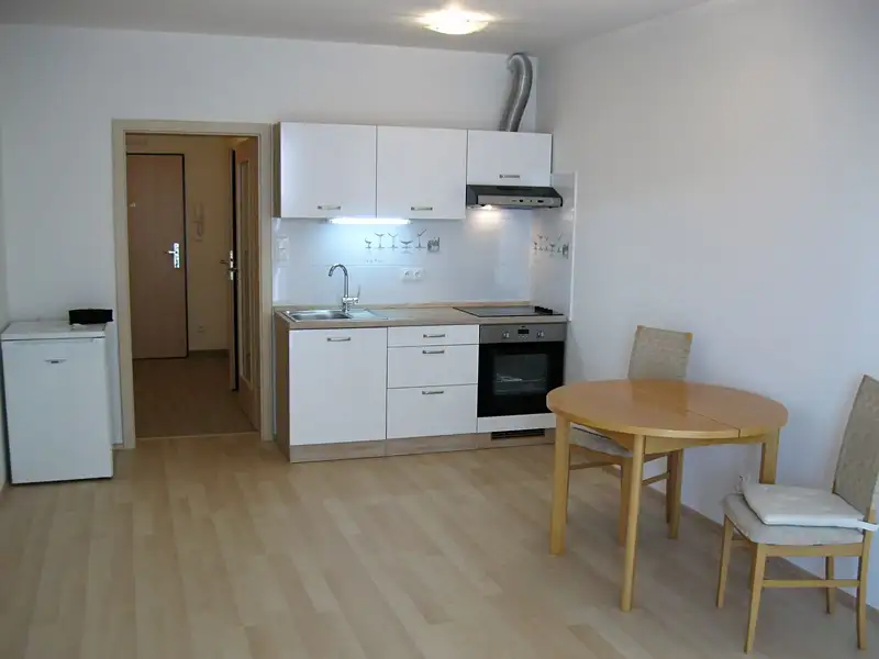 Pronájem bytu 1+kk 35 m², Olomouc – náhled fotky 2