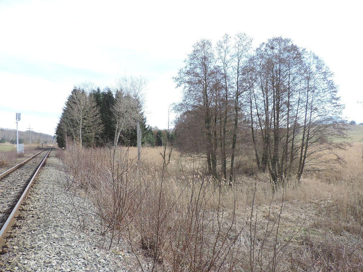 Prodej pozemku 3690 m² – fotografie 2