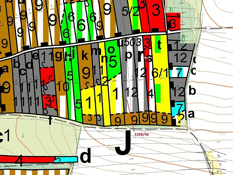 Dražba lesa 1630 m², Hosty – náhled fotky 3
