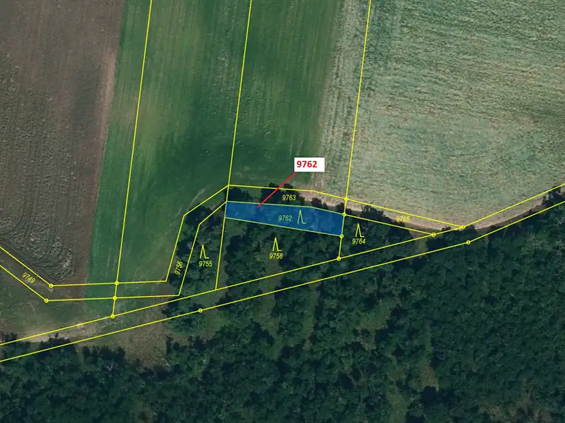 Dražba lesa 238 m², Oleksovice – náhled fotky 2