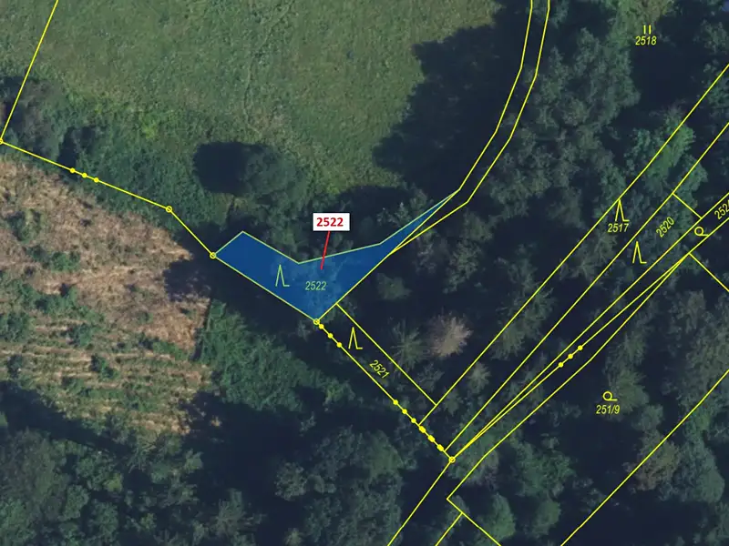 Dražba lesa 284 m², Gruna – náhled fotky 2