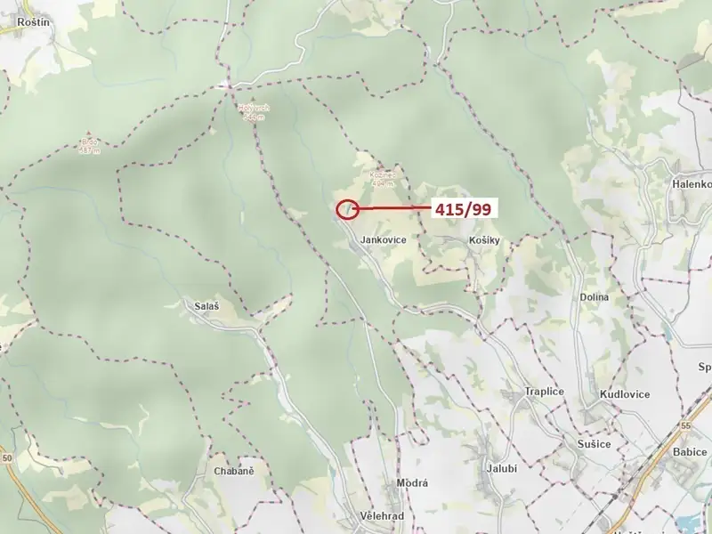 Dražba louky 655 m², Jankovice – náhled fotky 1