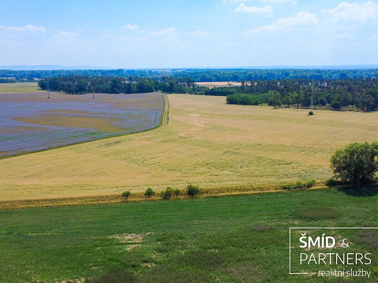 Prodej domu, 230 m² (15 z 50)