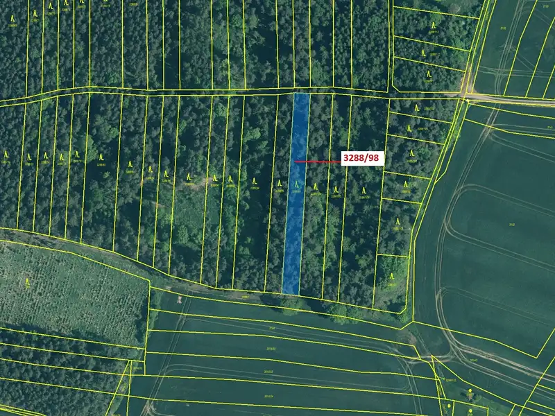 Dražba lesa 1685 m², Hosty – náhled fotky 2