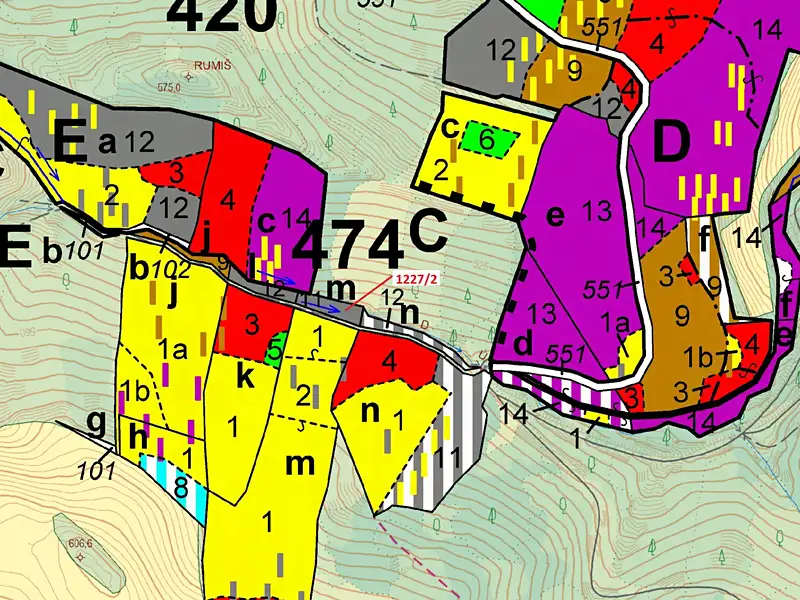 Dražba lesa 860 m², Horní Studénky – náhled fotky 3
