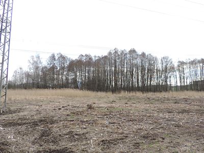 Prodej rybníku (vodní plochy) 486 m²