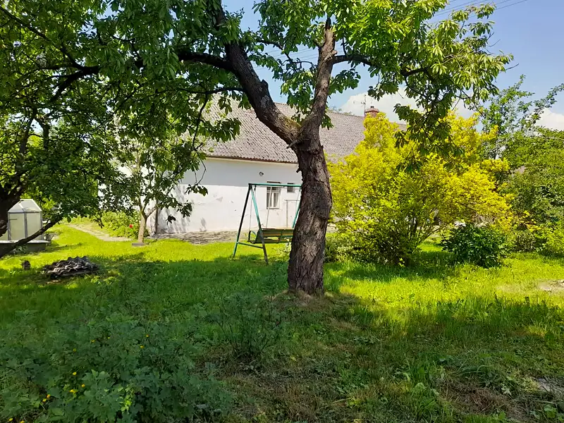 Prodej rodinného domu 200 m², pozemek 1154 m², Libina – náhled fotky 3