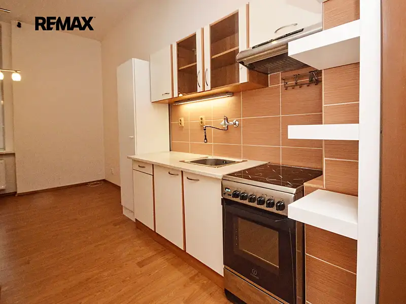 Pronájem bytu 1+1 44 m², Plzeň – náhled fotky 1