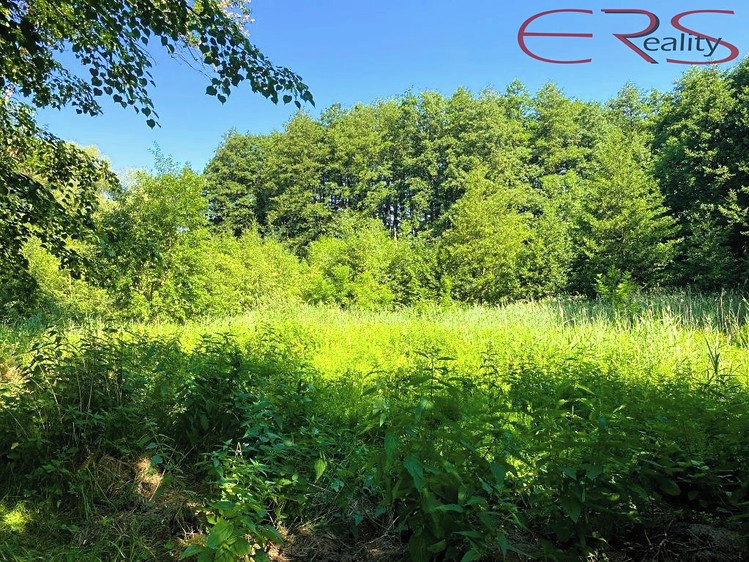 Grundstück zum Kauf, 3.264 m² (14 von 20)
