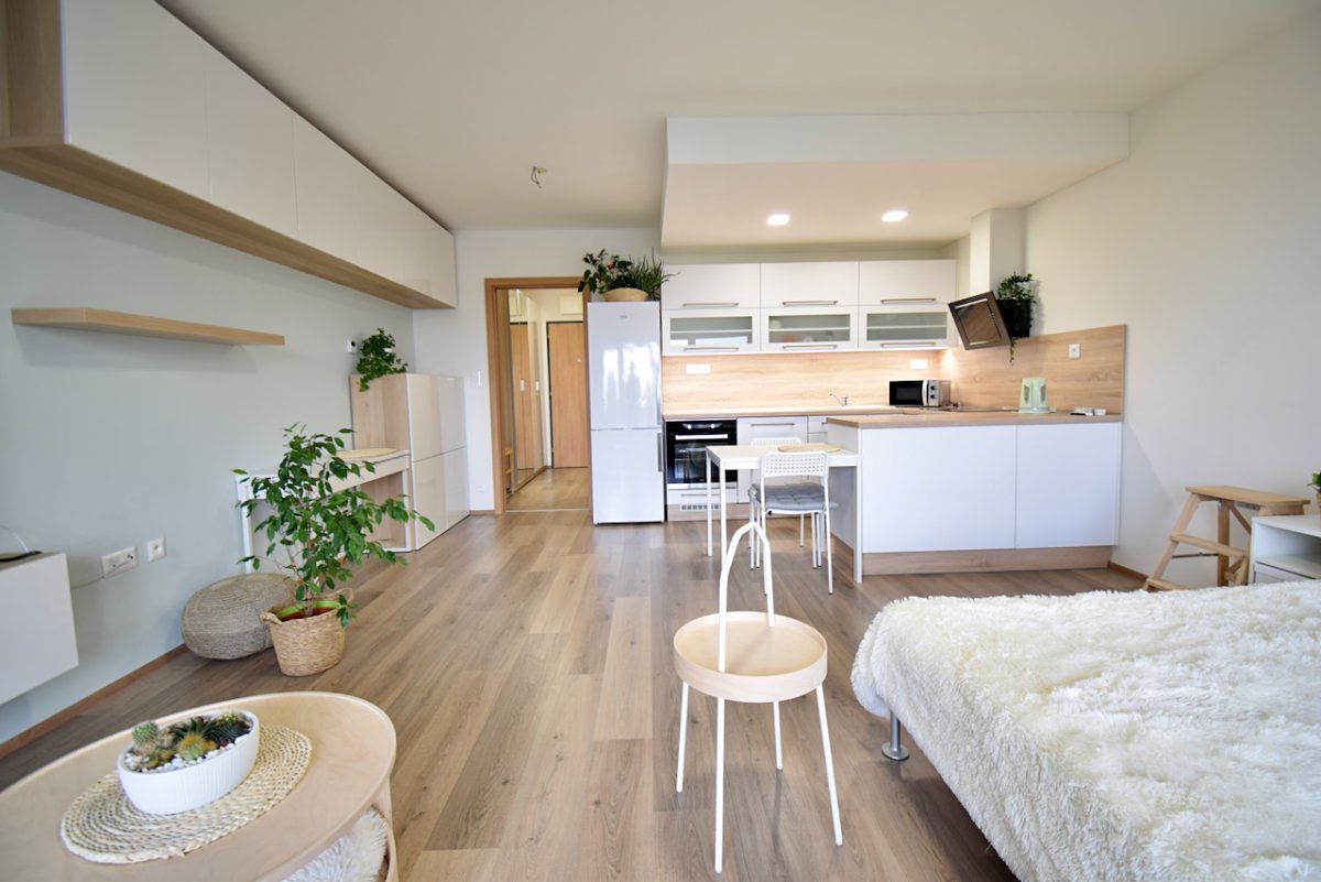 Pronájem bytu 1+kk 41 m²