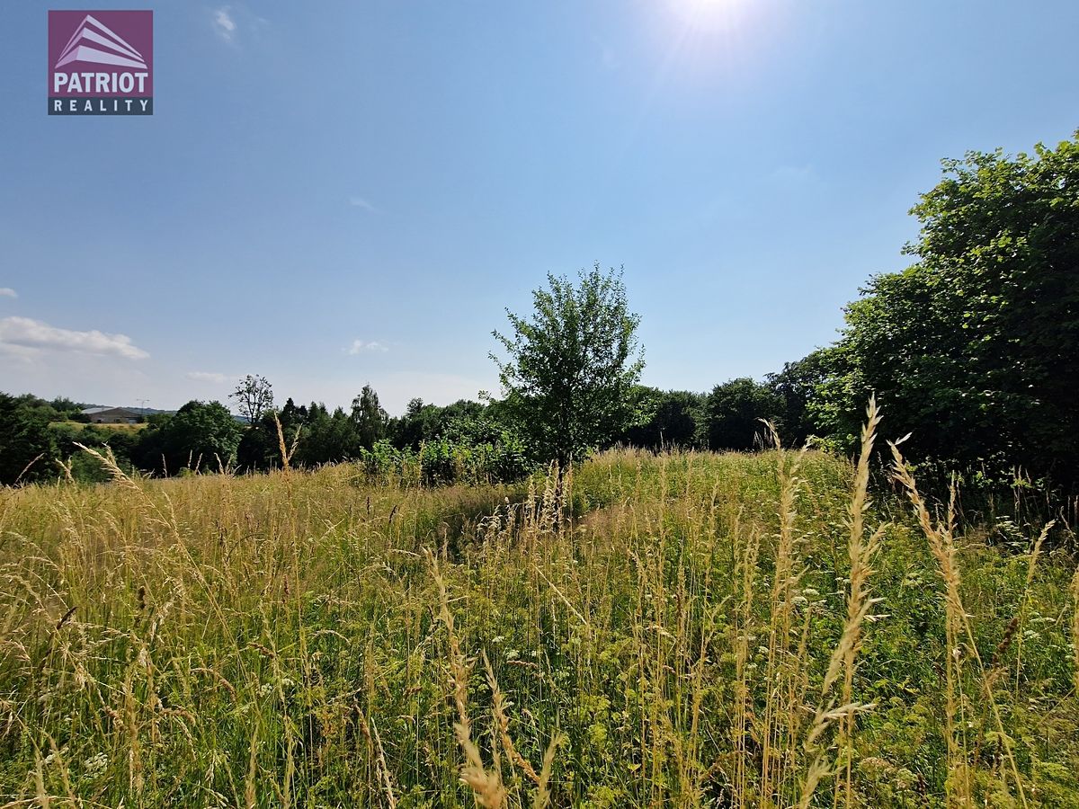 Prodej stavebního pozemku 7821 m² – fotografie 3
