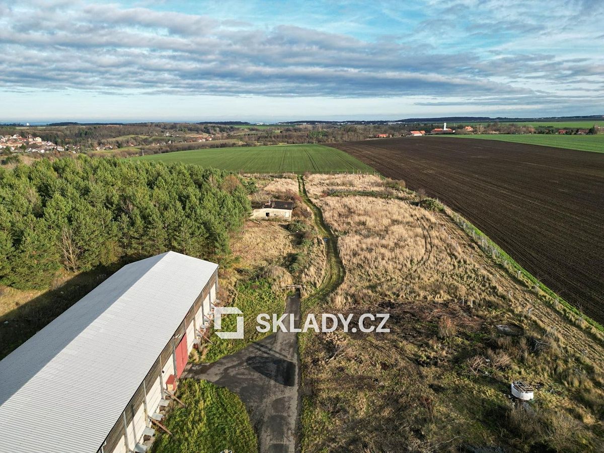 Pronájem komerčního pozemku 8000 m² – fotografie 2