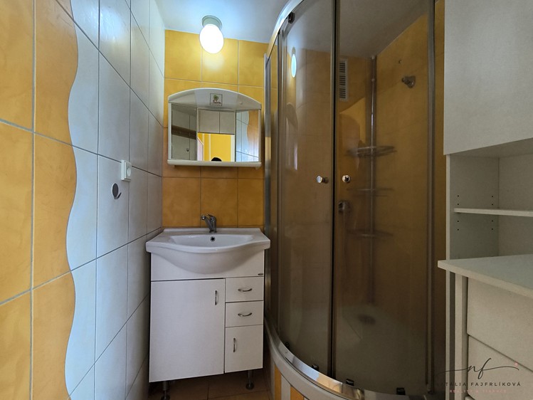 Pronájem bytu 2+1, 55 m² (10 z 17)