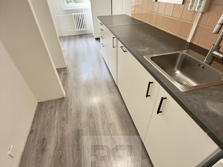 Pronájem bytu 3+1, 74 m² (4 z 11)