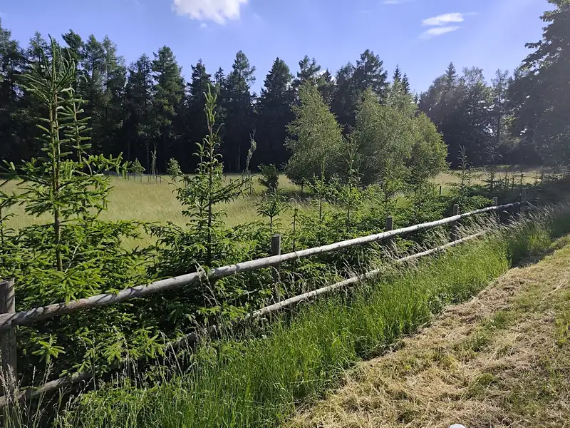 Prodej stavebního pozemku 1456 m², Tři Studně – náhled fotky 3