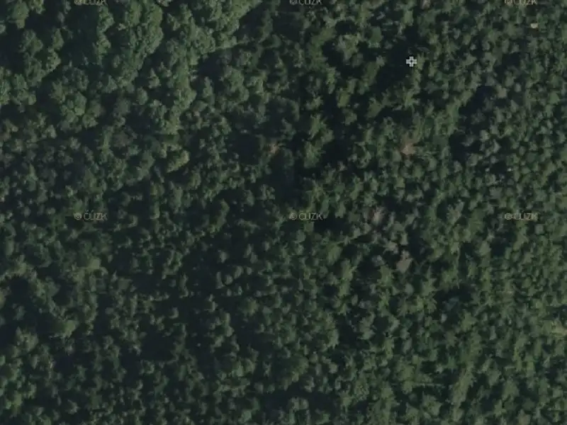 Prodej lesa 5868 m², Bystřice – náhled fotky 1
