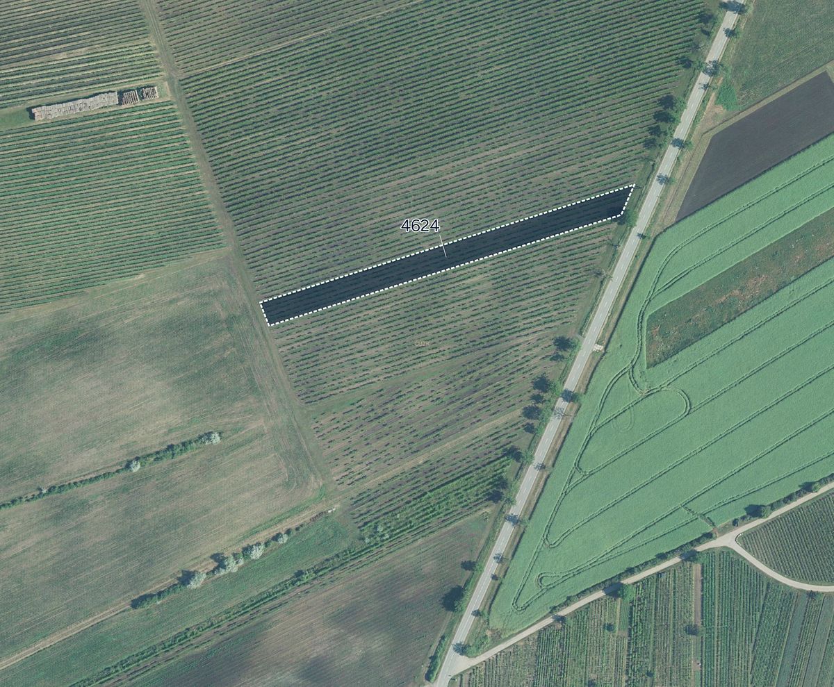 Prodej sadu, vinice 3926 m²