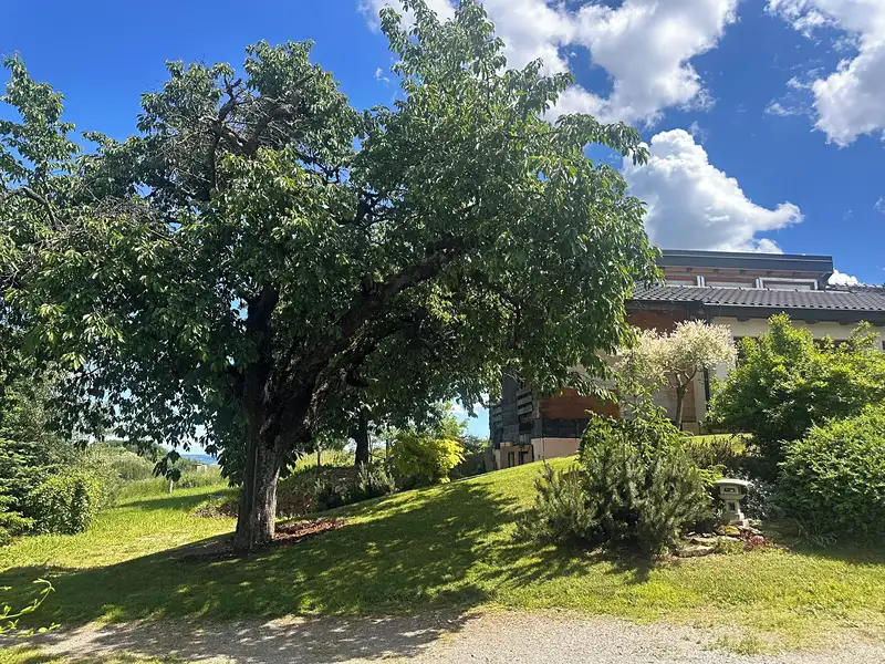 Prodej rodinného domu 135 m², pozemek 2577 m², Bedřichov – náhled fotky 3