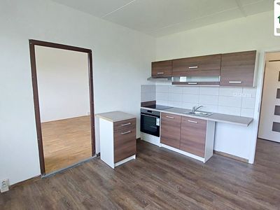 Pronájem bytu 1+1 35 m²