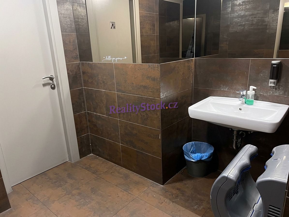 Pronájem obchodního prostoru 200 m² – fotografie 5