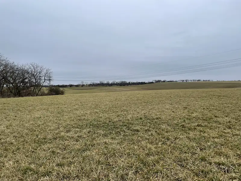 Prodej pole 49770 m², Liběchov – náhled fotky 1