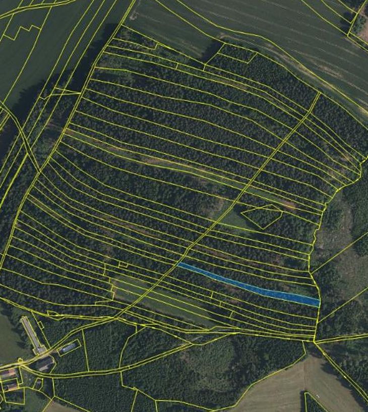 Prodej lesa 2680 m² – fotografie 5