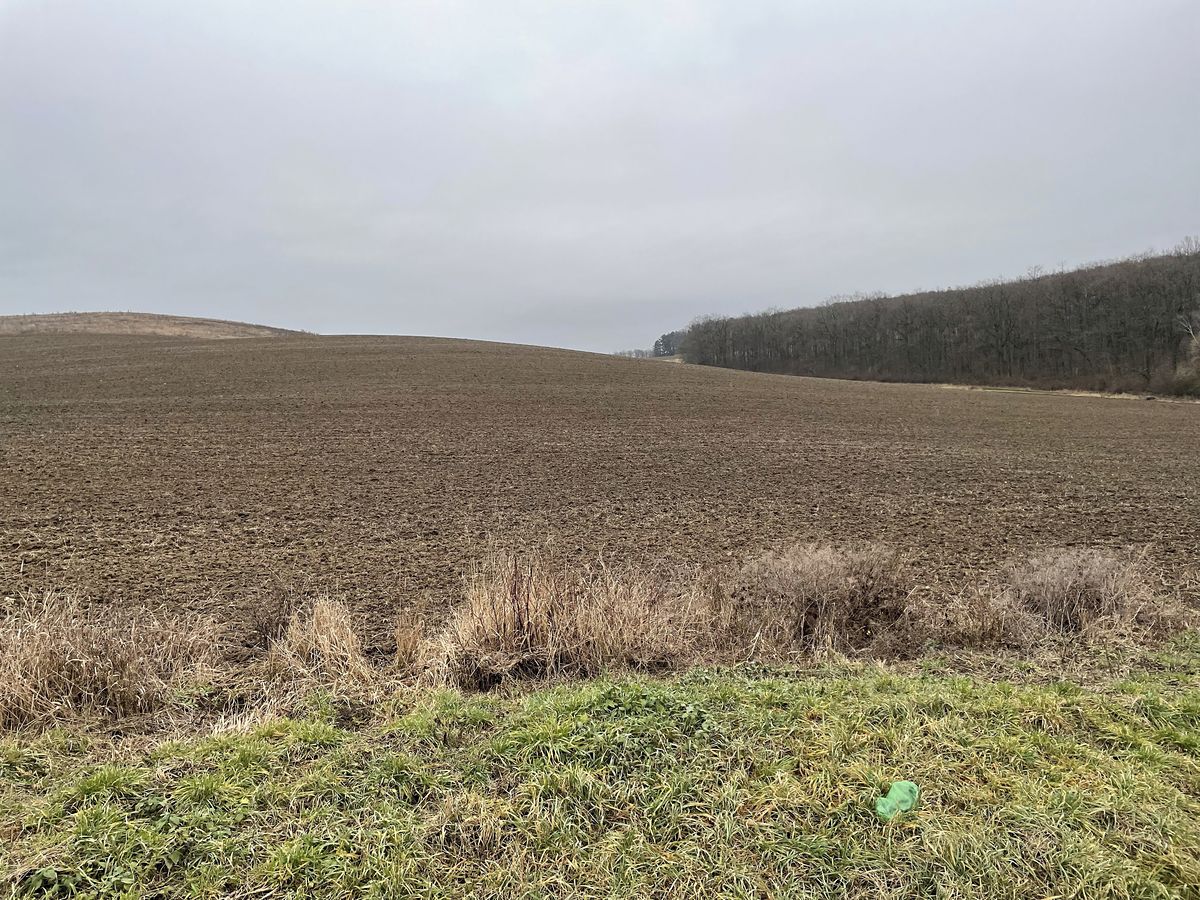 Prodej pole 98148 m² – fotografie 4