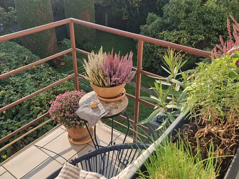 Pronájem bytu 2+kk 50 m², Plzeň – náhled fotky 3