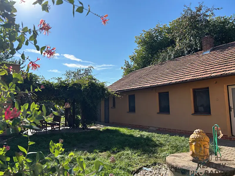 Pronájem rodinného domu 699 m², pozemek 620 m², Moravský Písek – náhled fotky 3