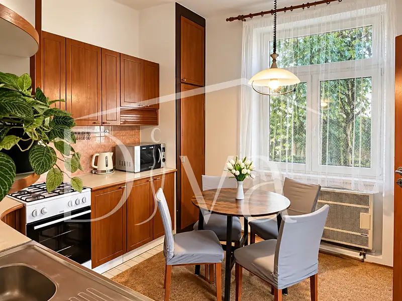 Pronájem bytu 2+1 50 m², Brno – náhled fotky 2