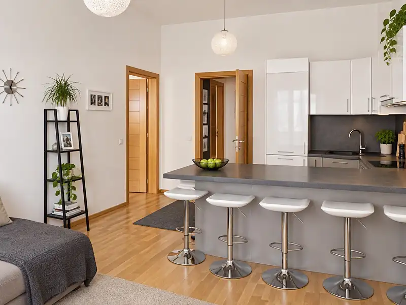 Pronájem bytu 2+kk, 56 m², Praha 2, Praha