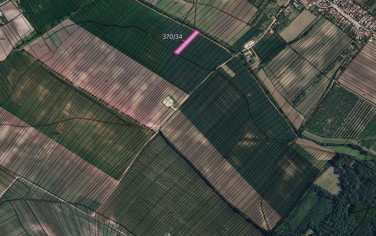Prodej pole 6090 m² – fotografie 2