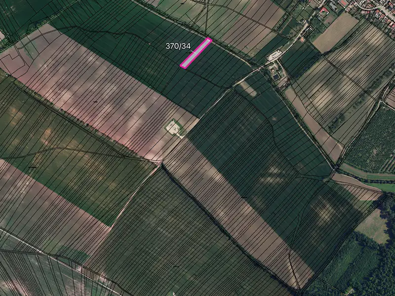 Prodej pole 6090 m², Nový Poddvorov – náhled fotky 2
