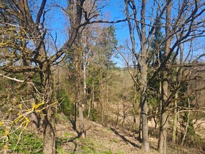 Prodej lesa 1666 m²