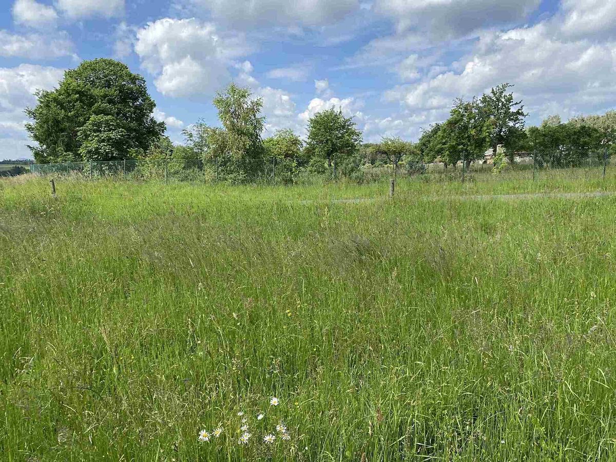 Prodej stavebního pozemku 1400 m² – fotografie 4