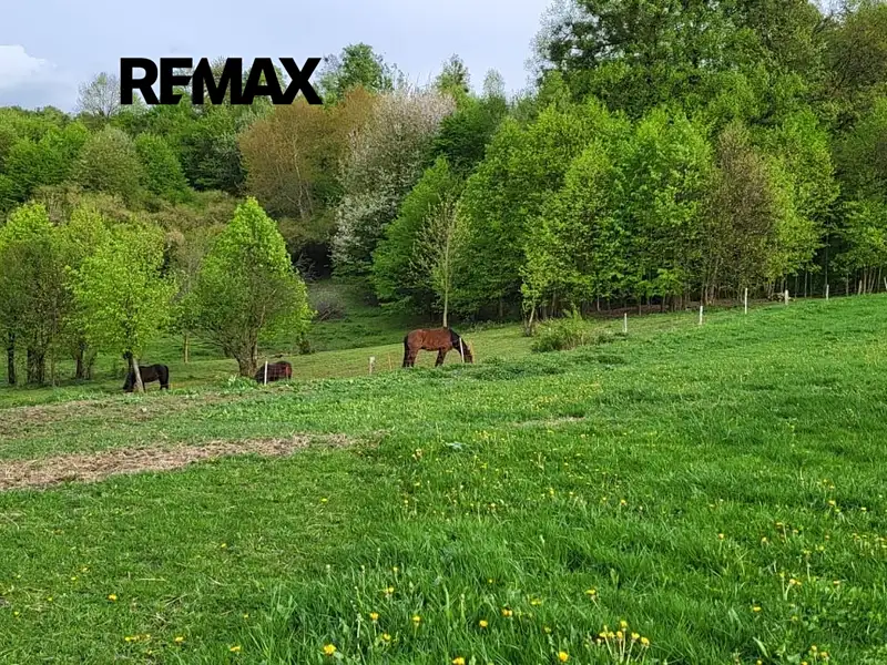 Prodej zahrady 11072 m², Rožnov pod Radhoštěm – náhled fotky 2