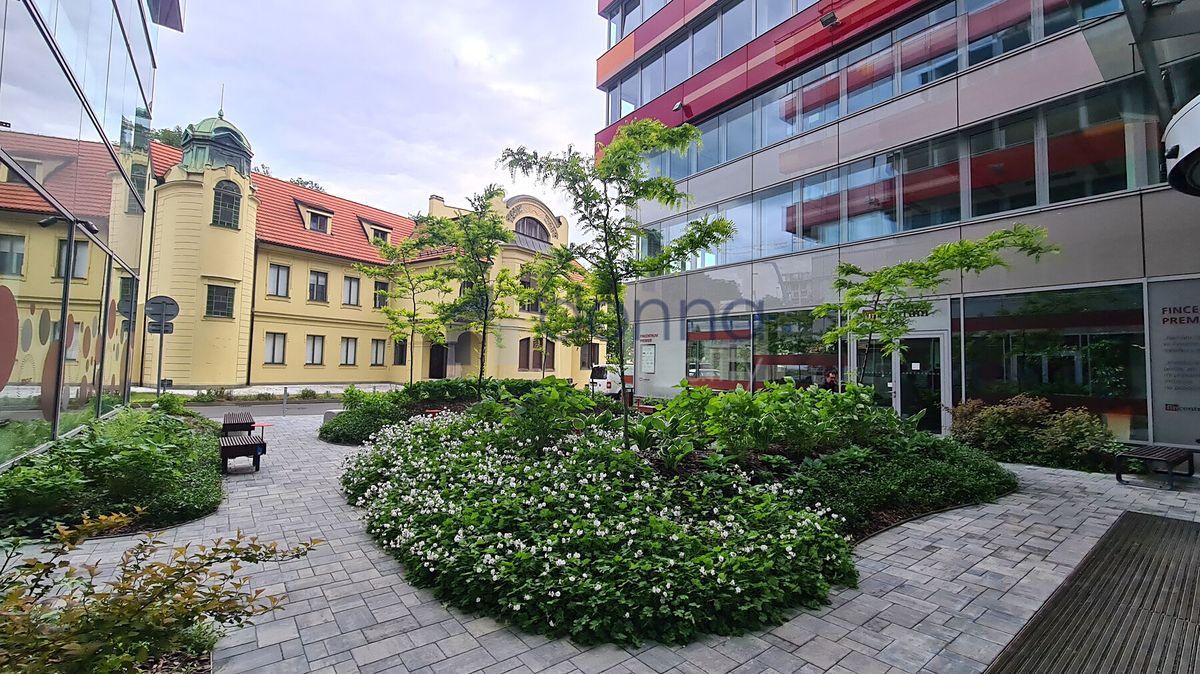 Pronájem obchodního prostoru 194 m²