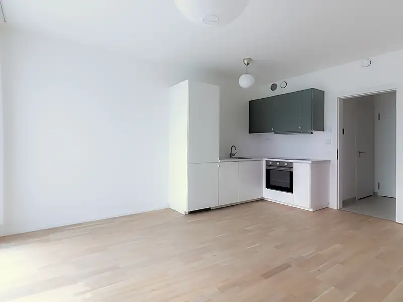 Pronájem bytu 1+kk, 28 m², Praha 3, Praha