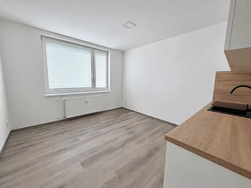 Pronájem bytu 1+1 38 m², Lovosice – náhled fotky 3