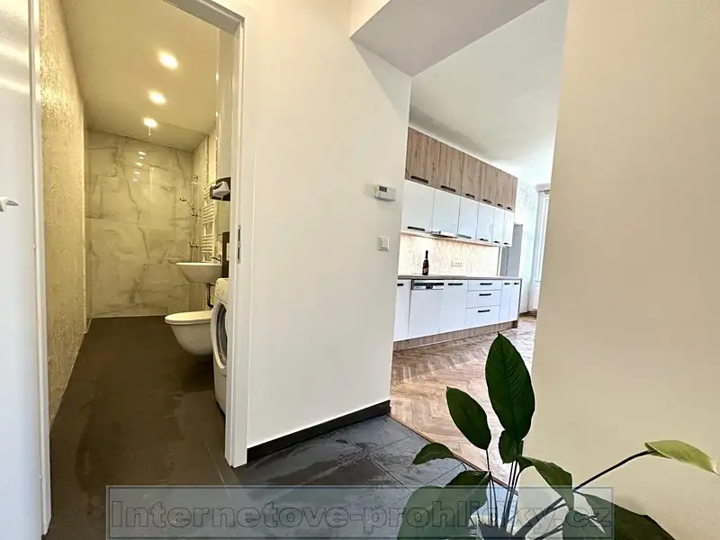 Pronájem bytu 2+kk 79 m², Praha – náhled fotky 3