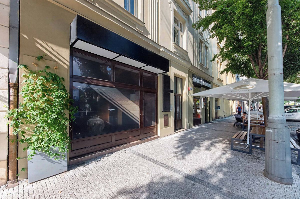 Pronájem obchodního prostoru 220 m²