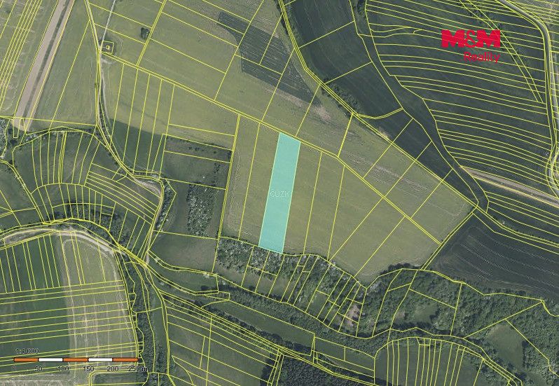 Prodej pole 18339 m² – fotografie 2