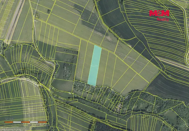 Prodej pole 18339 m², Částkov – náhled fotky 2