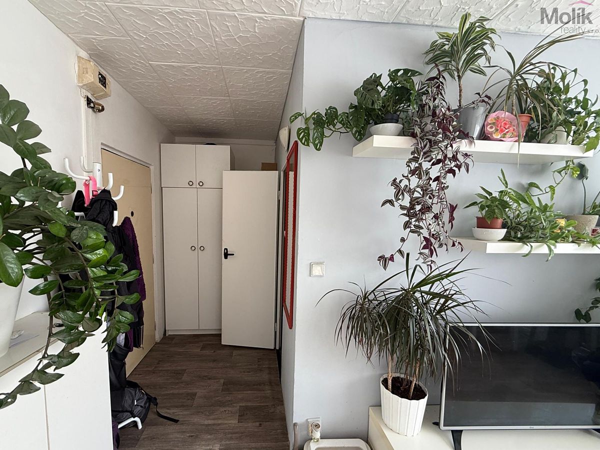 Pronájem bytu 1+1 26 m² – fotografie 5