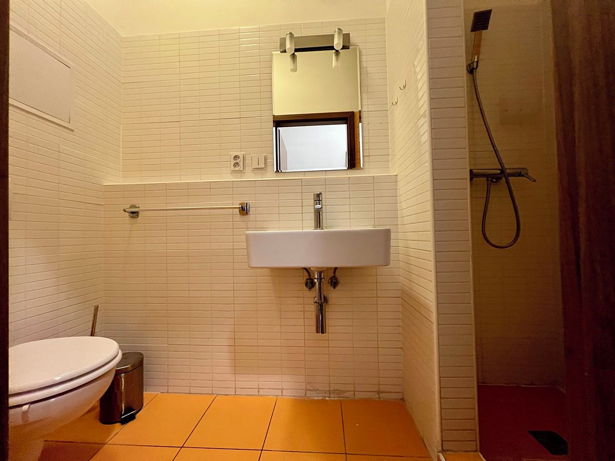 Pronájem bytu 1+kk 37 m² – fotografie 3