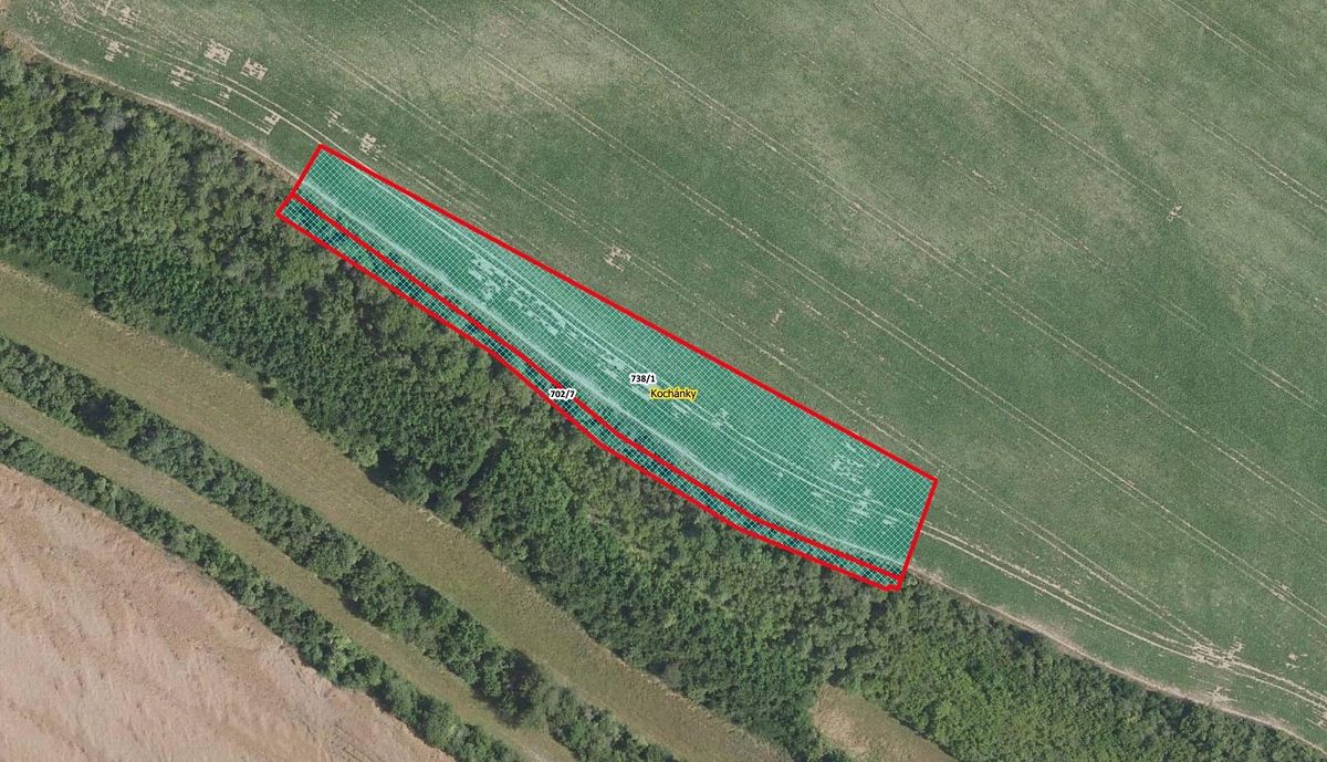 Prodej pole 6270 m², Kochánky – fotka 1 z 3