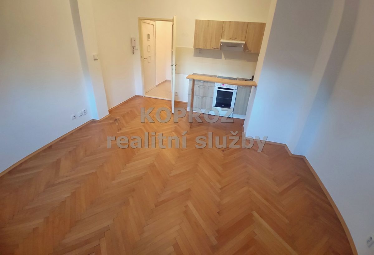 Pronájem bytu 1+kk 22 m² – fotografie 2