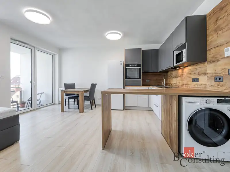 Pronájem bytu 1+kk 36 m², Plzeň – náhled fotky 2