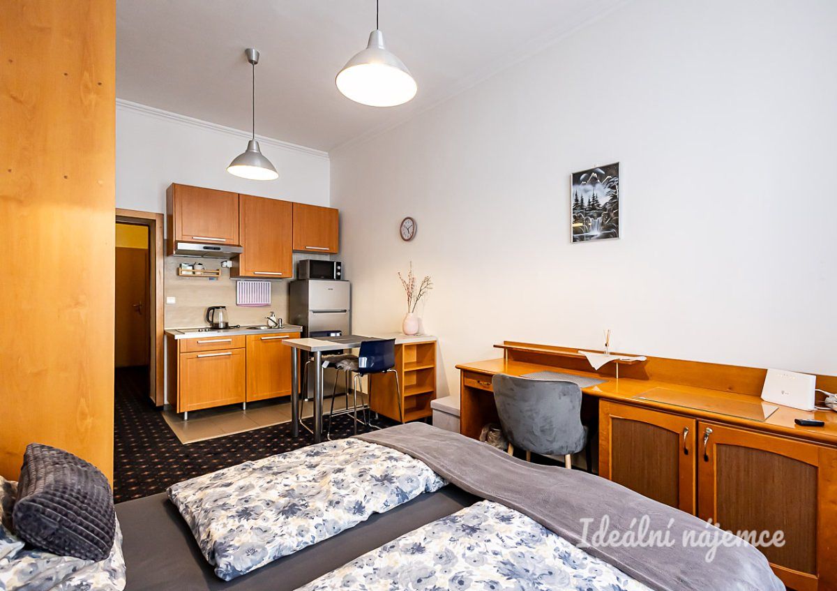 Pronájem bytu 1+kk 26 m² – fotografie 2
